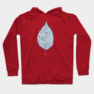 Leaf from a tree with veins, watercolor Hoodie